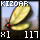 Fragment of Basic Kizoar Wing