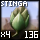 Basic Stinga Bud