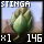 Fine Stinga Bud