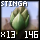 Fine Stinga Bud