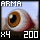 Fragment of Fine Arma Eye