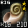 Fragment of Choice Prime Root Big Shell