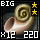 Fragment of Choice Prime Root Big Shell