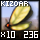 Fragment of Fine Kizoar Wing