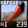 Fragment of Fine Kipesta Sting
