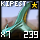 Fragment of Fine Kipesta Tail