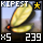 Fragment of Fine Kipesta Wing