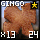 Fine Gingo Leather