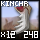 Fragment of Fine Kincher Mandible