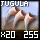 Fragment of Fine Jugula Claw