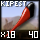 Fragment of Basic Kipesta Sting