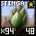 Fine Stinga Bud