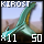 Fragment of Fine Kirosta Tail
