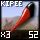 Fragment of Fine Kipee Sting