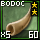 Fragment of Choice Forest Bodoc Horn