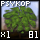 Handful of Basic Psykopla Moss