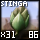 Basic Stinga Bud