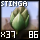 Basic Stinga Bud