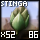Basic Stinga Bud